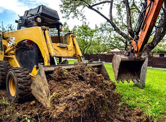 tree stump removal