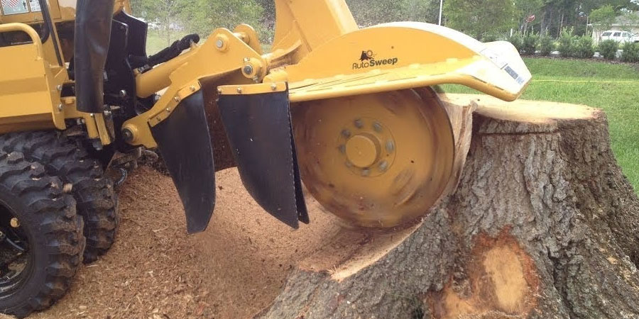 stump grinding